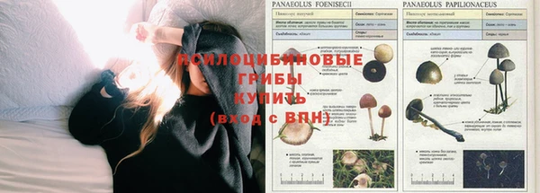 мдпв Белоозёрский
