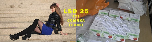 PSILOCYBIN Баксан