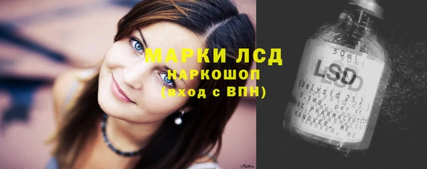 PSILOCYBIN Баксан